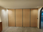 Neuwall Light Duty Folding Wall Partition