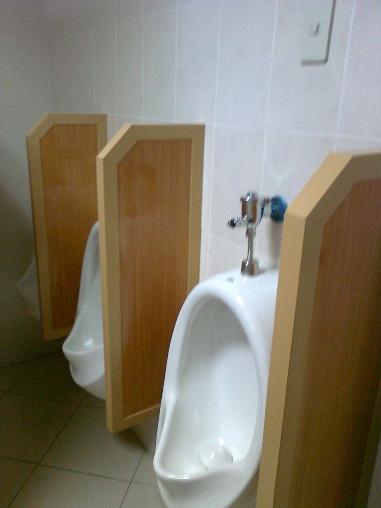 PVC Plastic Toilet Cubicle Partition