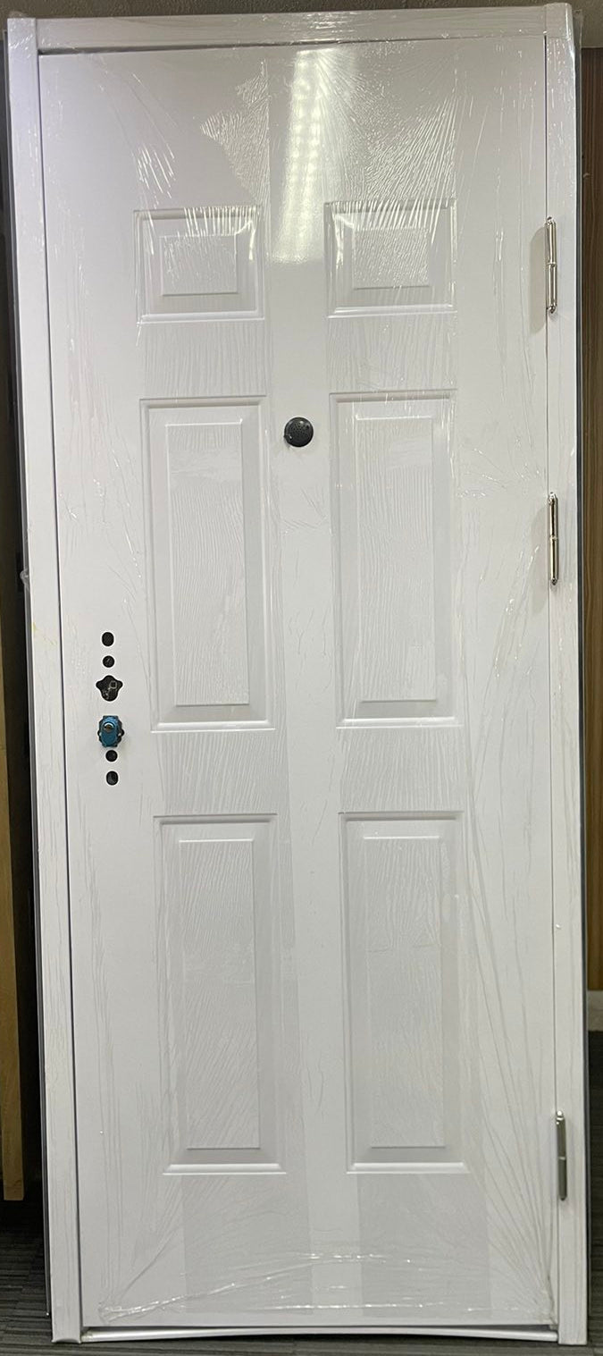 Steel Art Door with Design
