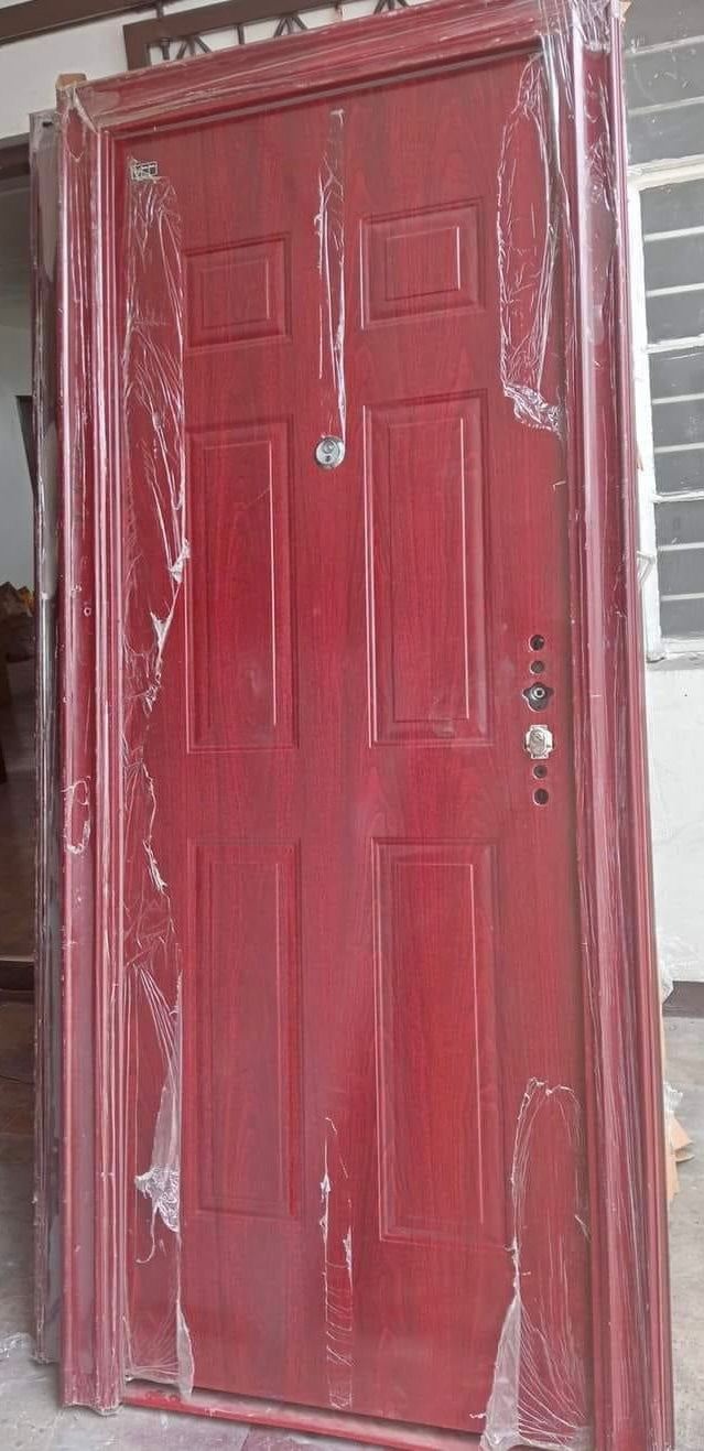 Steel Art Door with Design